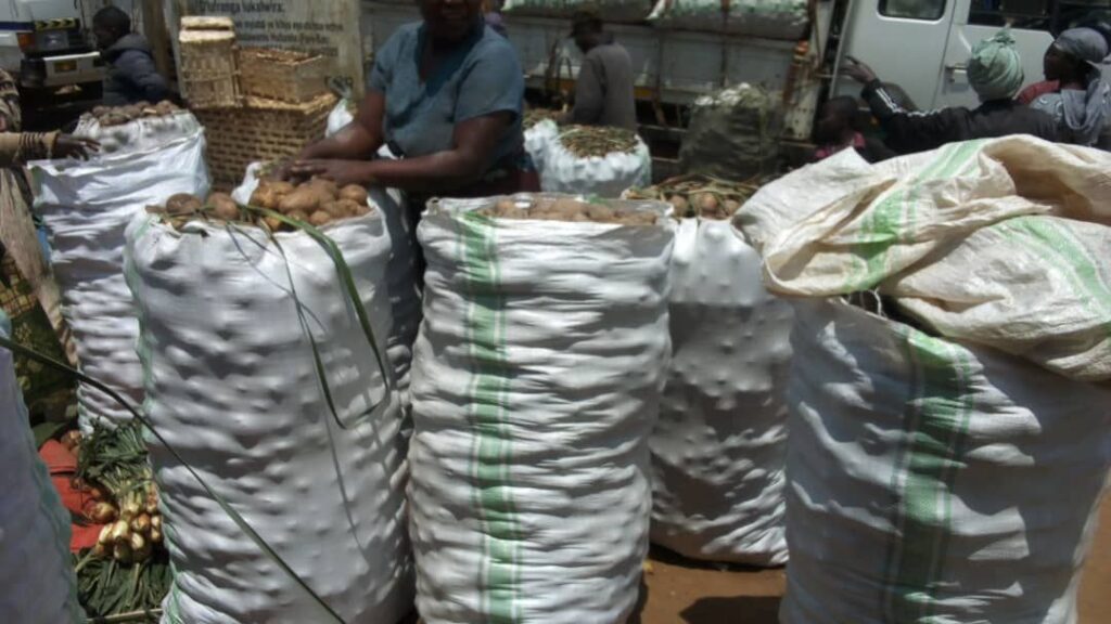 img-20250402-wa02347840560379306220253-1024x576 Nord -Kivu/Hausse du prix de la pomme de terre à Kasehe : les habitants en détresse