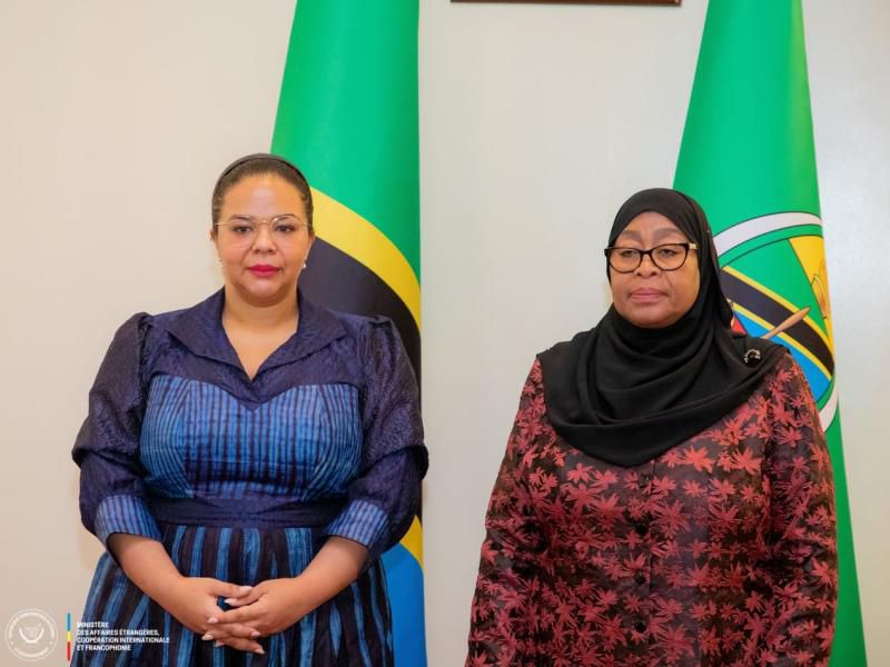 img-20250408-wa00382891906324667735036 La RDC et la Tanzanie s’accordent pour voyager sans visa entre les deux pays
