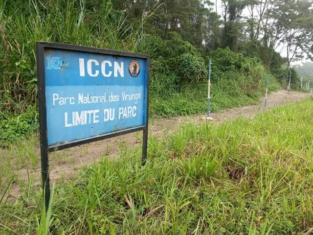 img-20250412-wa046513160573003403851013 Nord-Kivu : tensions à Kyavinyonge entre pêcheurs et autorités du Parc des Virunga