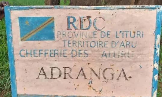 img-20250418-wa03646711913428961002259 Aru : une société chinoise obtient l’aval des chefs pour exploiter l’or en chefferie des Aluru Adranga