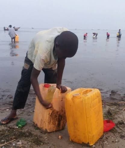 img-20250429-wa04726249980834882953467 Nord -Kivu/Riposte contre l’anthrax à Nyakakoma : sensibilisation et dispositifs sanitaires en place