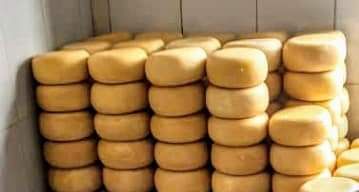 img-20250430-wa04367174258005322043954 Nord-Kivu : Baisse inquiétante de la production de fromage à Masisi, la guerre pointée du doigt