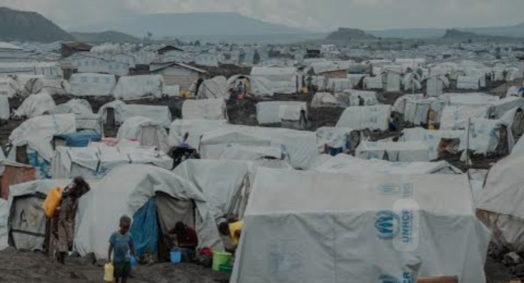 screenshot_20250418-0617457299836679381054427 Nord-Kivu /Crise humanitaire à Eringeti : des déplacés piégés entre famine et insécurité