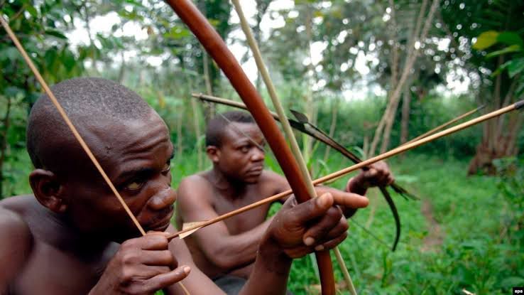 10000172236871982750620104504 Mambasa: la CRDH alerte sur un groupe armé de pygmées semant la terreur à Bakaheku