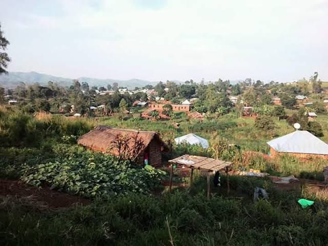 img-20250509-wa03162709033625634216528 Ituri : une jeune femme retrouvée morte, étranglée près de Mungbwalu
