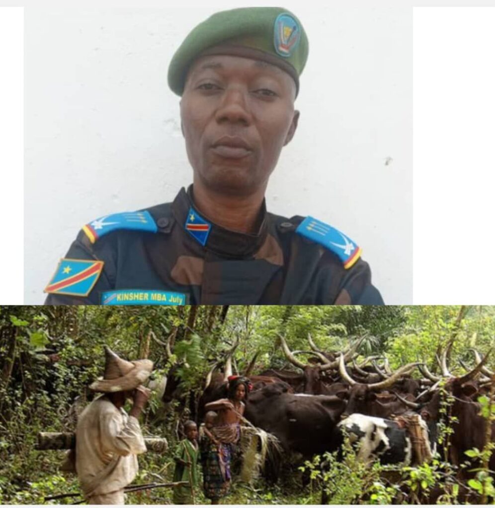 img-20250605-wa01475498006826729256655-996x1024 Haut-Uele : le délai accordé aux éleveurs Mbororo pour rejoindre Nambia expiré, l’armée loyaliste lance des opérations de traque