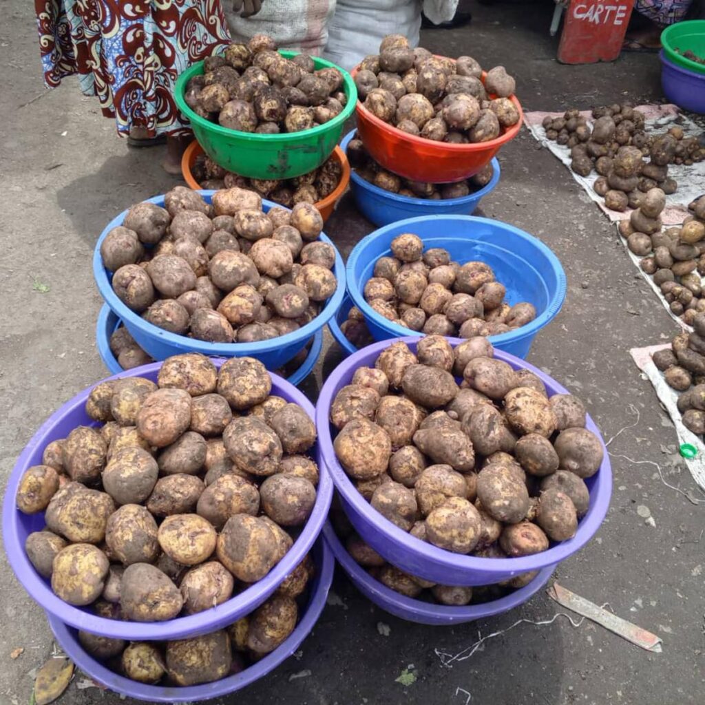 img-20250605-wa0341292612440426159069-1024x1024 Goma: Hausse du prix des pommes de terre sur fond de tensions commerciales