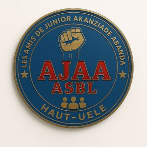 img-20250819-wa03134056963172978505653-300x300 Haut-Uele : l’ASBL les Amis de Junior Akanziade lance la campagne « Travaux de premières urgences » à Isiro