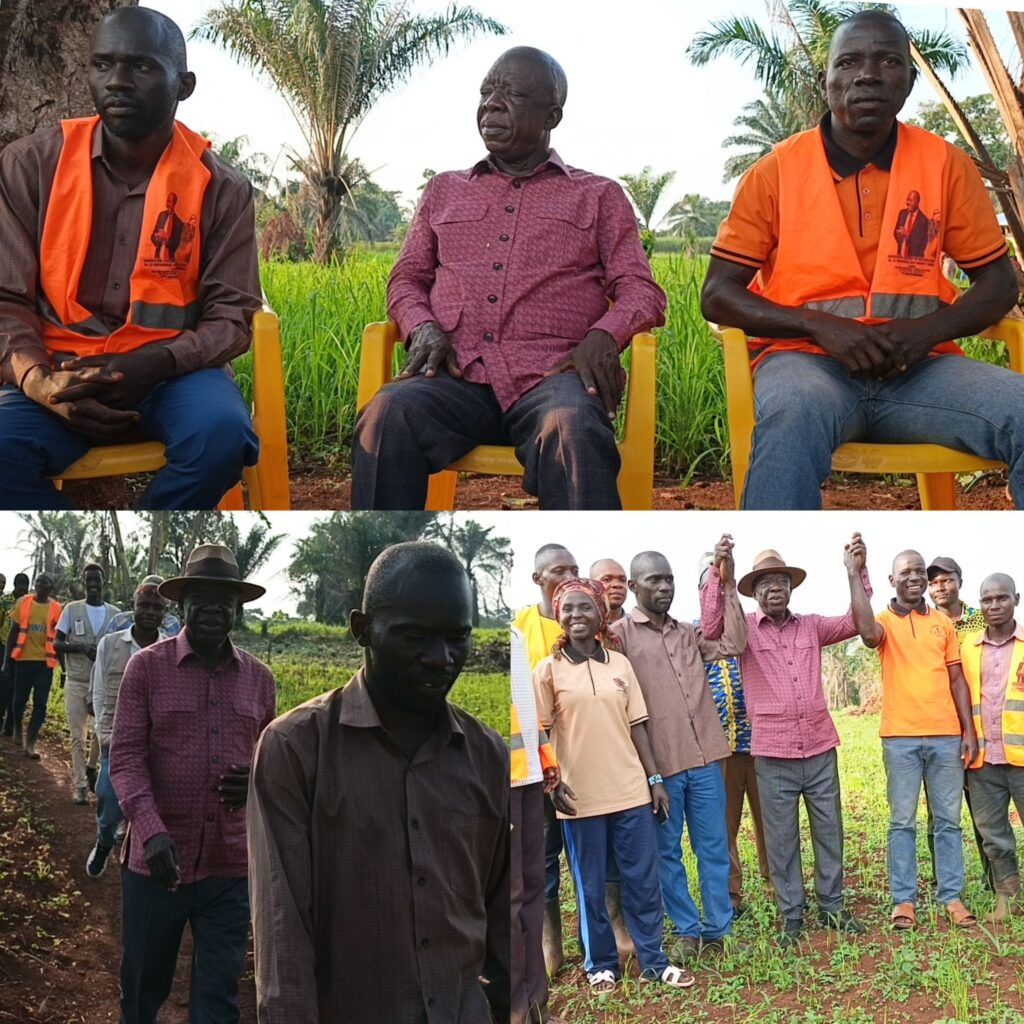 incollage_20250801_0007006401018183294565891945-1024x1024 Watsa : le député Jean Marc Mambidi Koloboro encourage l’initiative agricole des jeunes de l’AJBG et appelle à bannir l’oisiveté