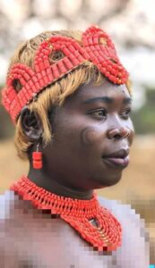 img-20251226-wa03232666095905437698591-173x300 Déforestation en Haut-Uele : la princesse de la chefferie de Mondo-Missa, Anzoyo-Egbarama Esther, tire la sonnette d’alarme et appelle à une conscience collective