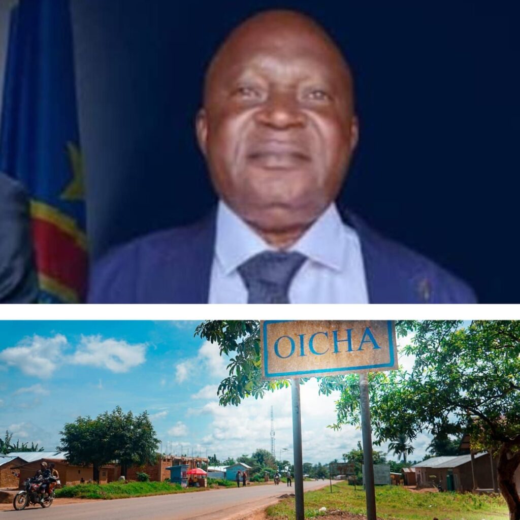 img-20260811-wa00206895788092302953824-1024x1024 Nord-Kivu : le maire adjoint de la ville d’Oicha, Emmanuel Kahindo Kalumba, appelle à maintenir l’assainissement et met en garde contre le lotissement anarchique