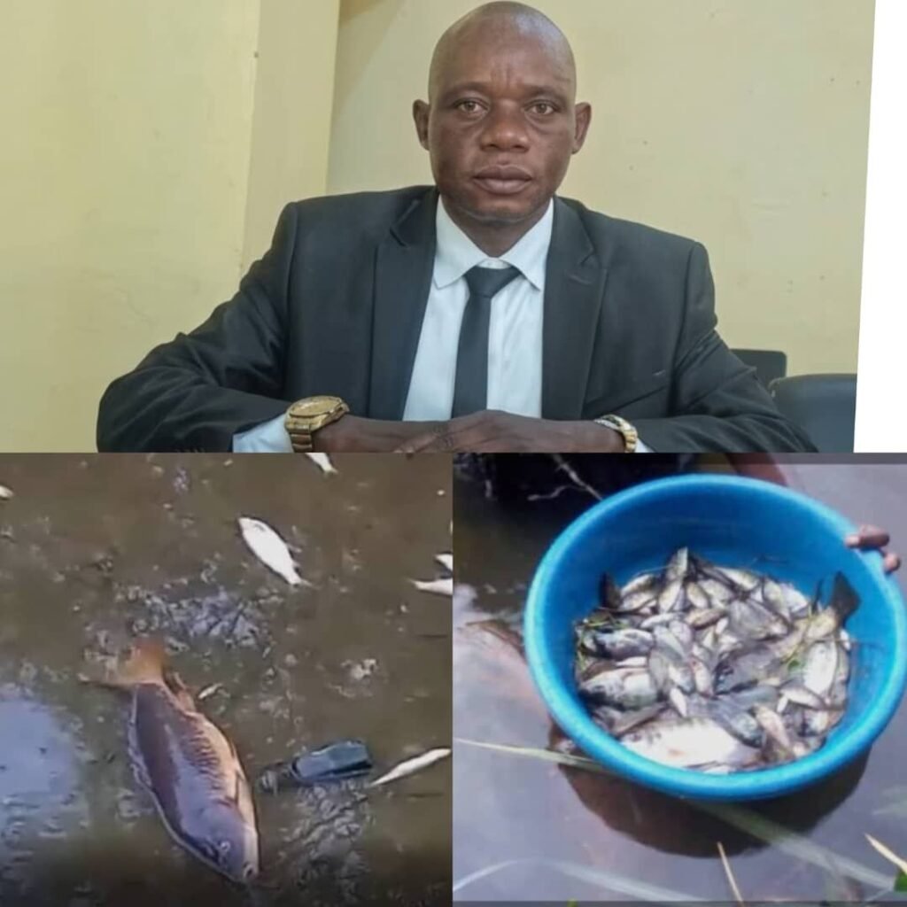 IMG-20261003-WA1158-1024x1024 Faradje | Société : l’ASM de la carrière minière Lopa, Jean Bosco Agare, interpelle Kibali Gold Mine et lui donne 72 heures pour agir face à la situation de la Tanzi